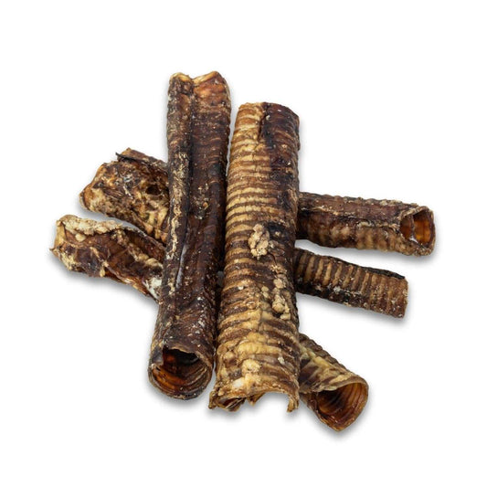 Dog Treats Country Living All-Natural Beef Trachea Dog Treats, Protein-Packed Chews – 12 Inches (5-Pack) PCK139-5P 17 $ Pet Lovers Store American Pet Supplies Stew's Incense