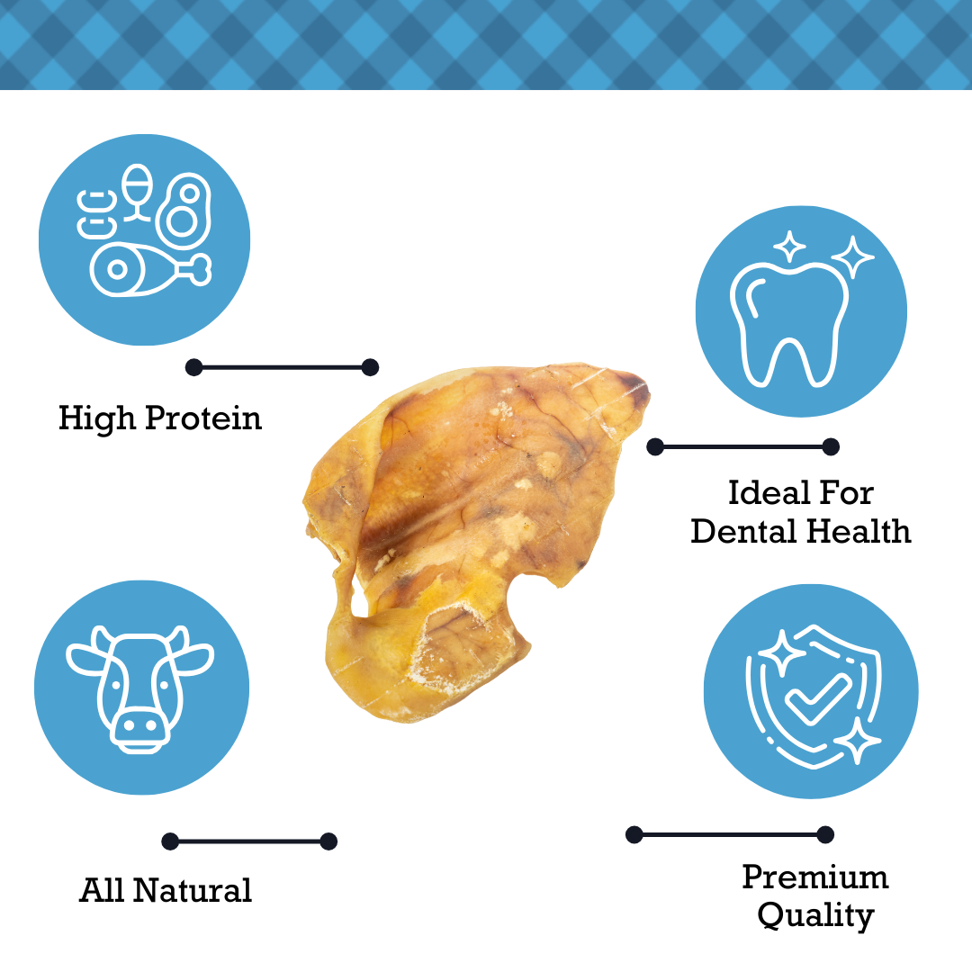 Dog Treats Country Living Whole Pig Ears Dog Treats – 100% Natural, Premium Pork Chews for Dental Care – (15-Pack) PCK102-15P 21 $ Pet Lovers Store American Pet Supplies Stew's Incense