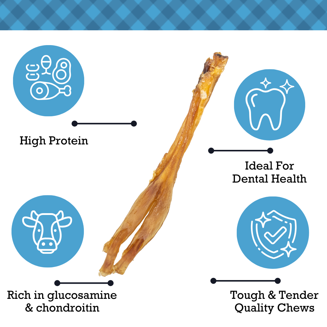 Dog Treats All-Natural Beef Y Tendon Dog Treats – High-Protein, Low-Fat Chews – Jumbo (10-Pack) PCK146-10P 19 $ Pet Lovers Store American Pet Supplies Stew's Incense