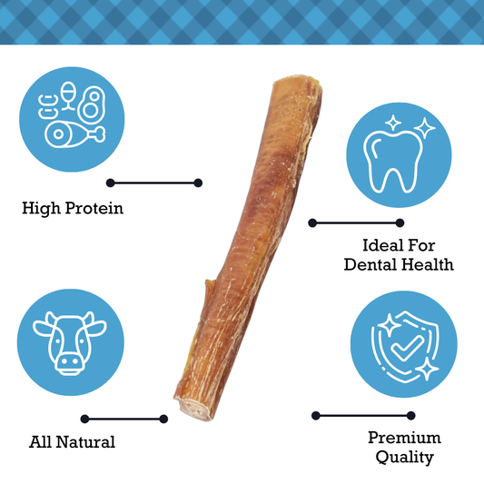 Dog Treats Country Living All-Natural Beef Bully Stick Dog Treats – Nutrient-Rich, and High-Protein – 12-Inch Standard (25/case) PCK108 162 $ Pet Lovers Store American Pet Supplies Stew's Incense