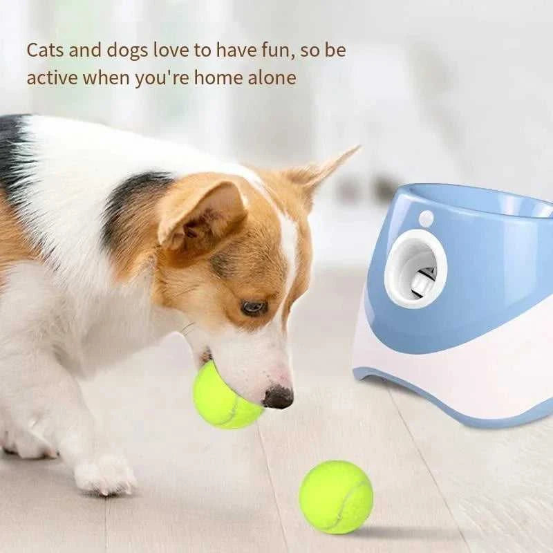 pet supplies 2025 AutoLaunch Sustainable Fun Train Your Dog 12000045546845419 204 $ Shop All Fashioned Furbabies Stew's Incense