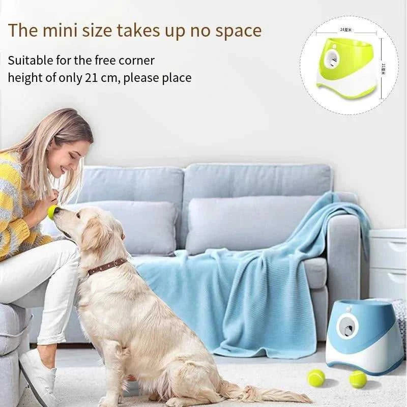 pet supplies 2025 AutoLaunch Sustainable Fun Train Your Dog 12000045546845419 204 $ Shop All Fashioned Furbabies Stew's Incense