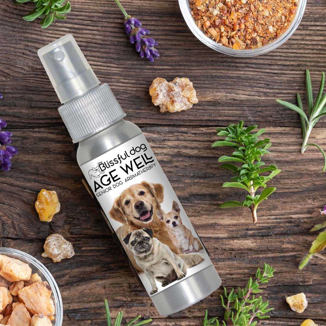DOG AROMATHERAPY 3 Old Friends Age Well Dog Aromatherapy sku-3126880206872 22 $ Pet Lovers Store The Blissful Dog Stew's Incense