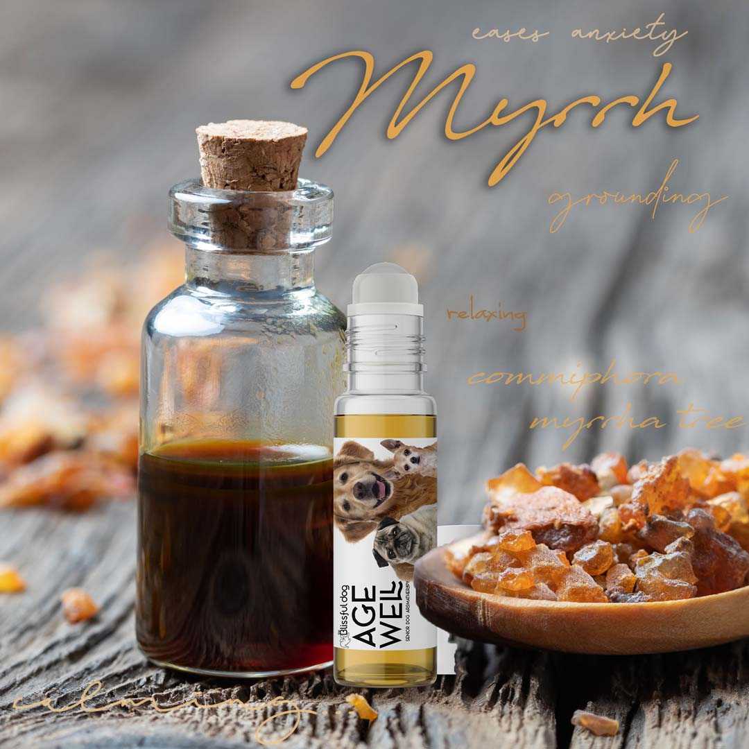 DOG AROMATHERAPY 3 Old Friends Age Well Dog Aromatherapy sku-3126880206872 22 $ Pet Lovers Store The Blissful Dog Stew's Incense