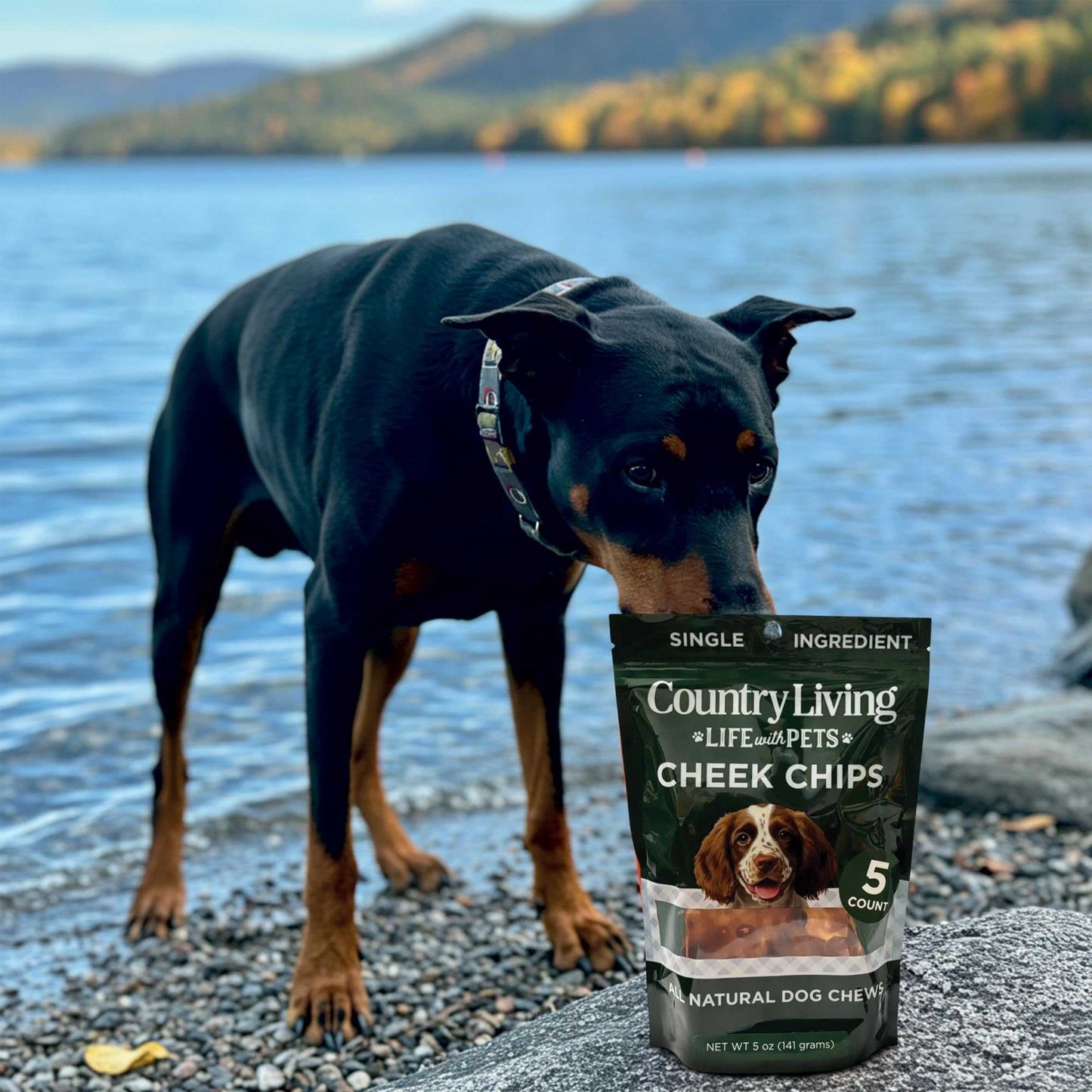 Dog Treats Country Living 4” x 4” Beef Cheek Chip Dog Treats – Chicken Flavor – 5 Count Bag – All-Natural, High-Protein, Long-Lasting Dog Chews CL-PCK217-5PK 16 $ Pet Lovers Store American Pet Supplies Stew's Incense