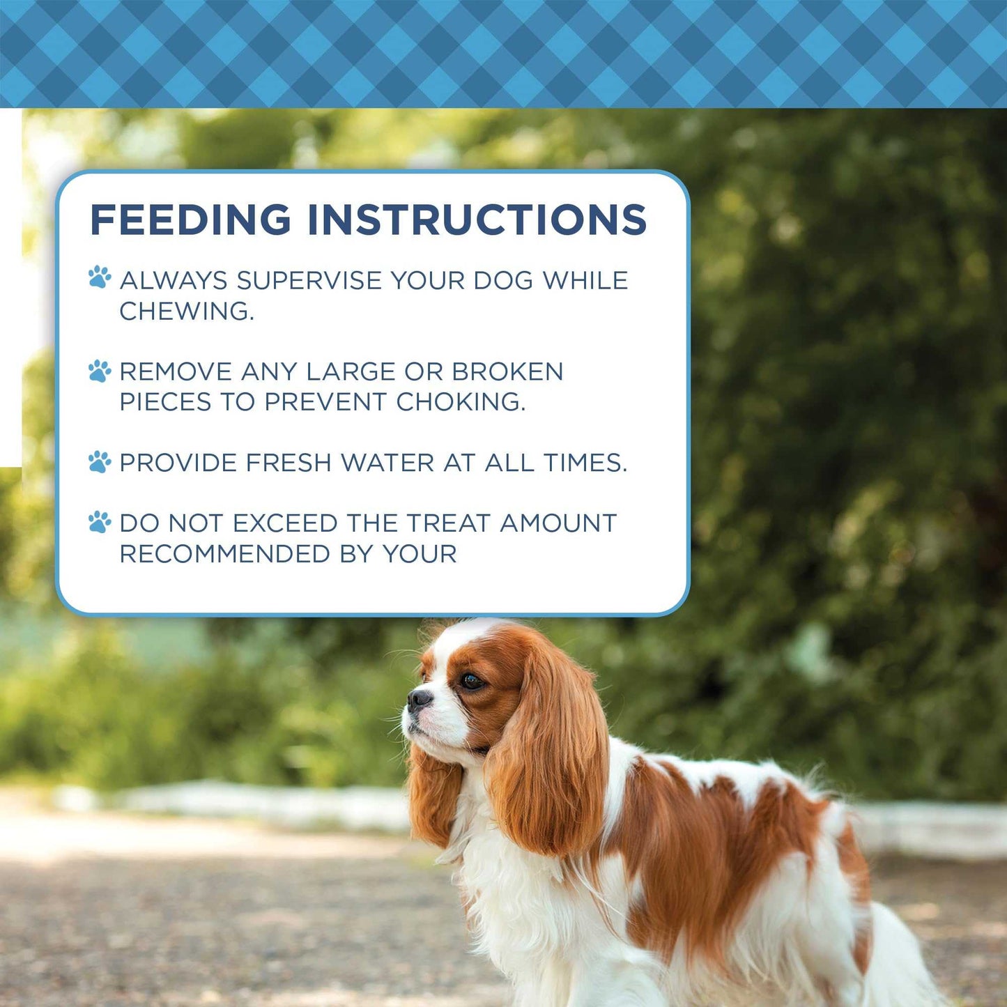 Dog Treats Country Living 4” x 4” Beef Cheek Chip Dog Treats – Chicken Flavor – 5 Count Bag – All-Natural, High-Protein, Long-Lasting Dog Chews CL-PCK217-5PK 16 $ Pet Lovers Store American Pet Supplies Stew's Incense