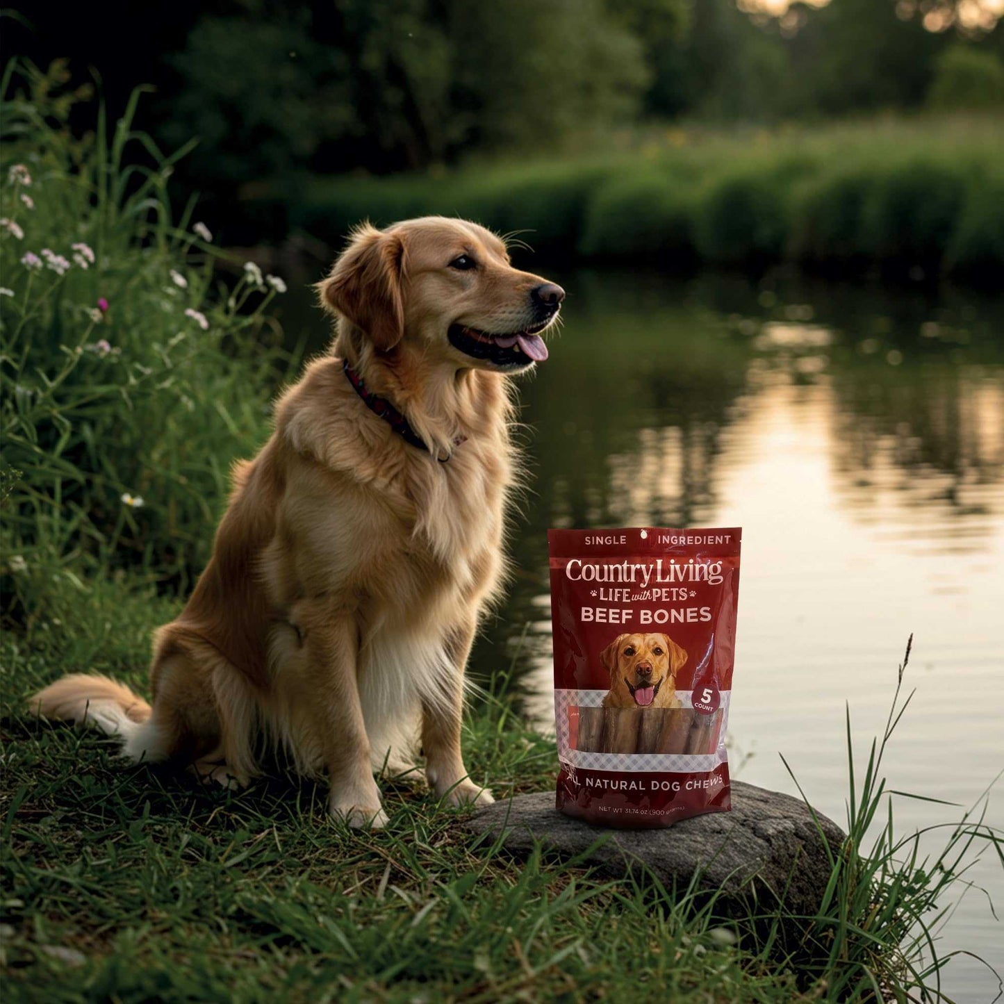 Dog Treats Country Living 5”-6” Beef Center Cut Bones for Dogs – 5 Count Bag – All-Natural, Long-Lasting Dog Chews – Single-Ingredient, High-Protein, Rawhide-Free – Supports Dental Health CL-PCK147-5PK 24 $ Pet Lovers Store American Pet Supplies Stew's Incense