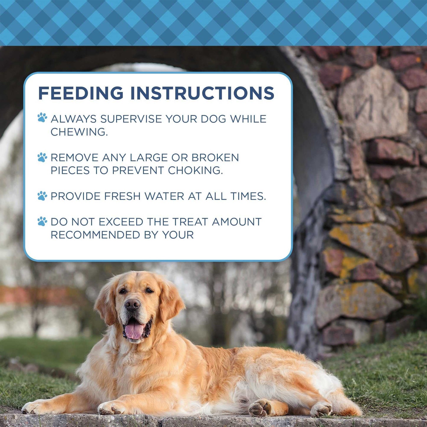 Dog Treats Country Living 5”-6” Beef Center Cut Bones for Dogs – 5 Count Bag – All-Natural, Long-Lasting Dog Chews – Single-Ingredient, High-Protein, Rawhide-Free – Supports Dental Health CL-PCK147-5PK 24 $ Pet Lovers Store American Pet Supplies Stew's Incense