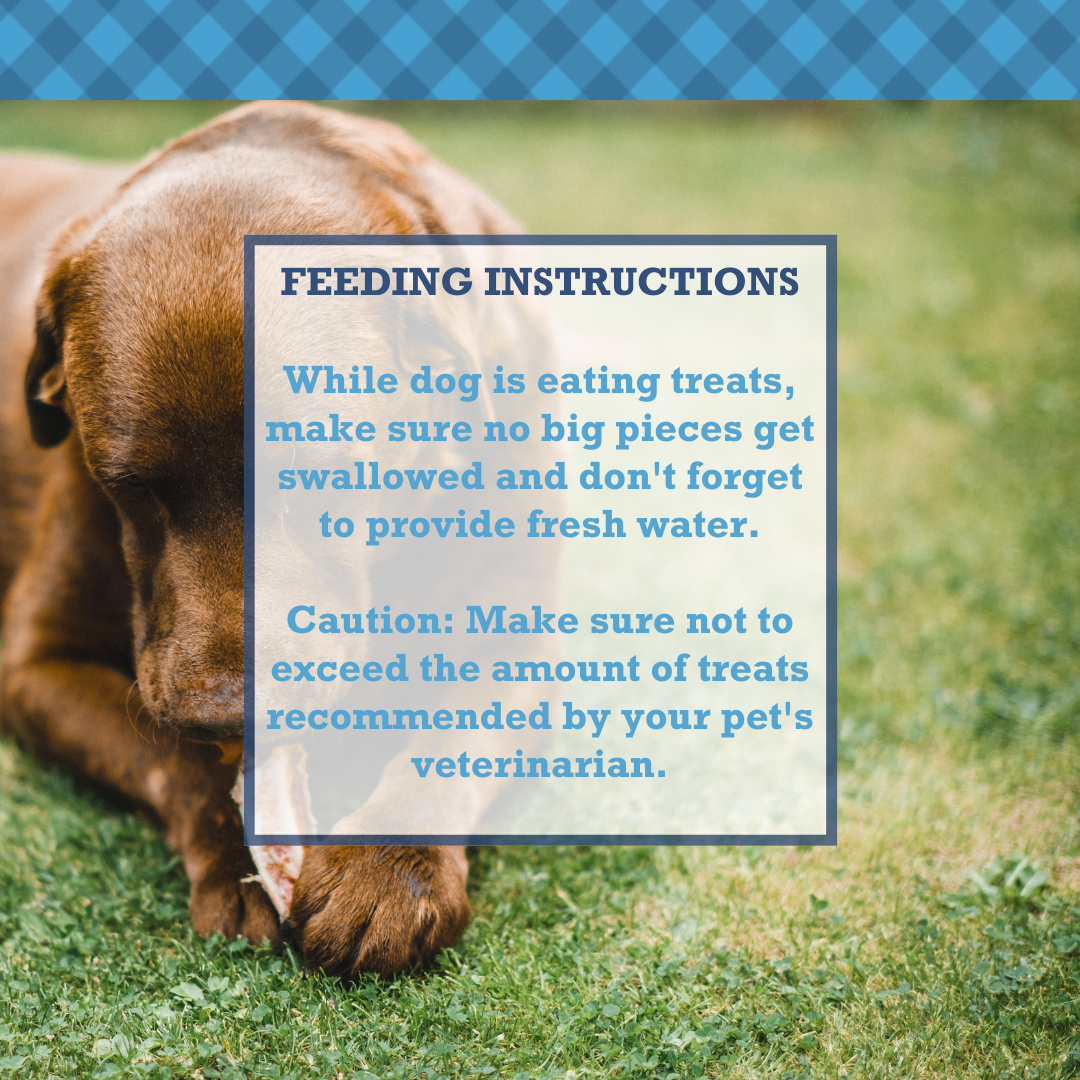 Dog Treats All-Natural Beef Y Tendon Dog Treats – High-Protein, Low-Fat Chews – Jumbo (10-Pack) PCK146-10P 19 $ Pet Lovers Store American Pet Supplies Stew's Incense