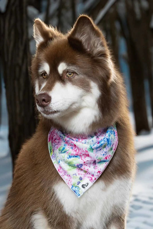 bandana Hydrangea Haven Dog Bandana BD24HH01 14 $ Shop All Aria the Fox Stew's Incense