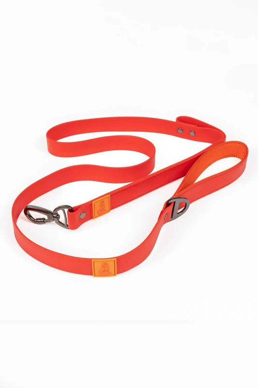 Leash Scarlet Peaks Waterproof Leash LE24SP01 39 $ Shop All Aria the Fox Stew's Incense