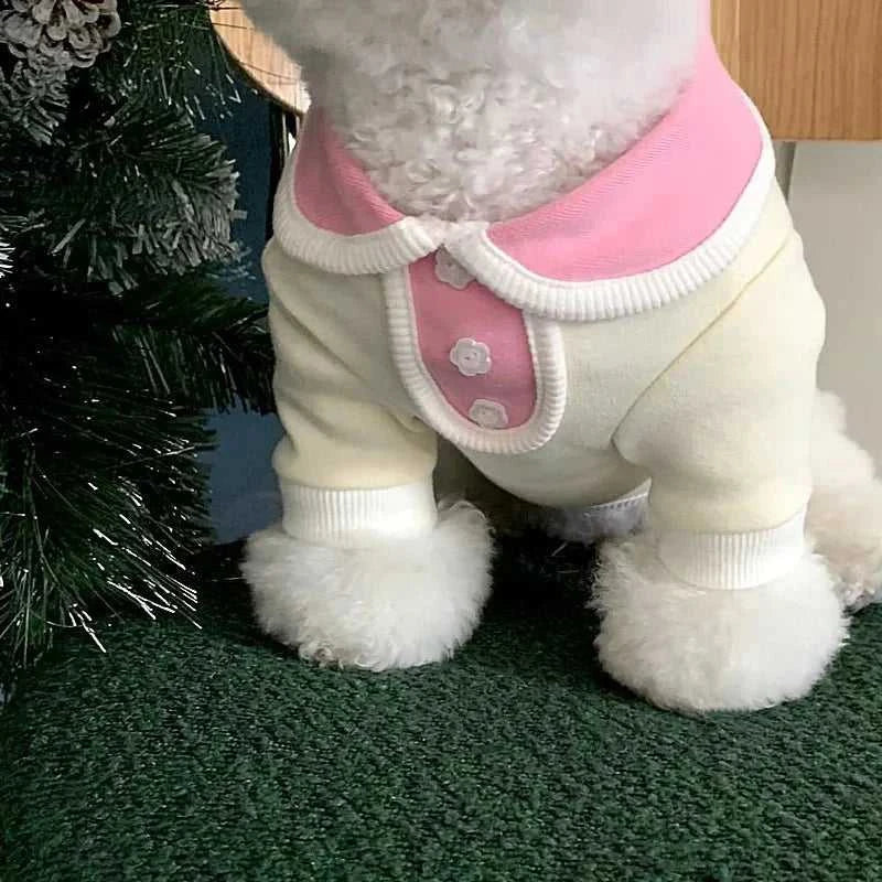 Clothes Autumn Stripe Dog Polo Cool Comfy Style 12000040127842382 20 $ Shop All Fashioned Furbabies Stew's Incense