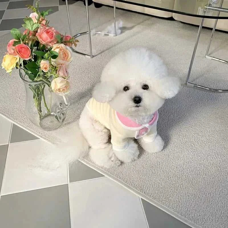 Clothes Autumn Stripe Dog Polo Cool Comfy Style 12000040127842382 20 $ Shop All Fashioned Furbabies Stew's Incense