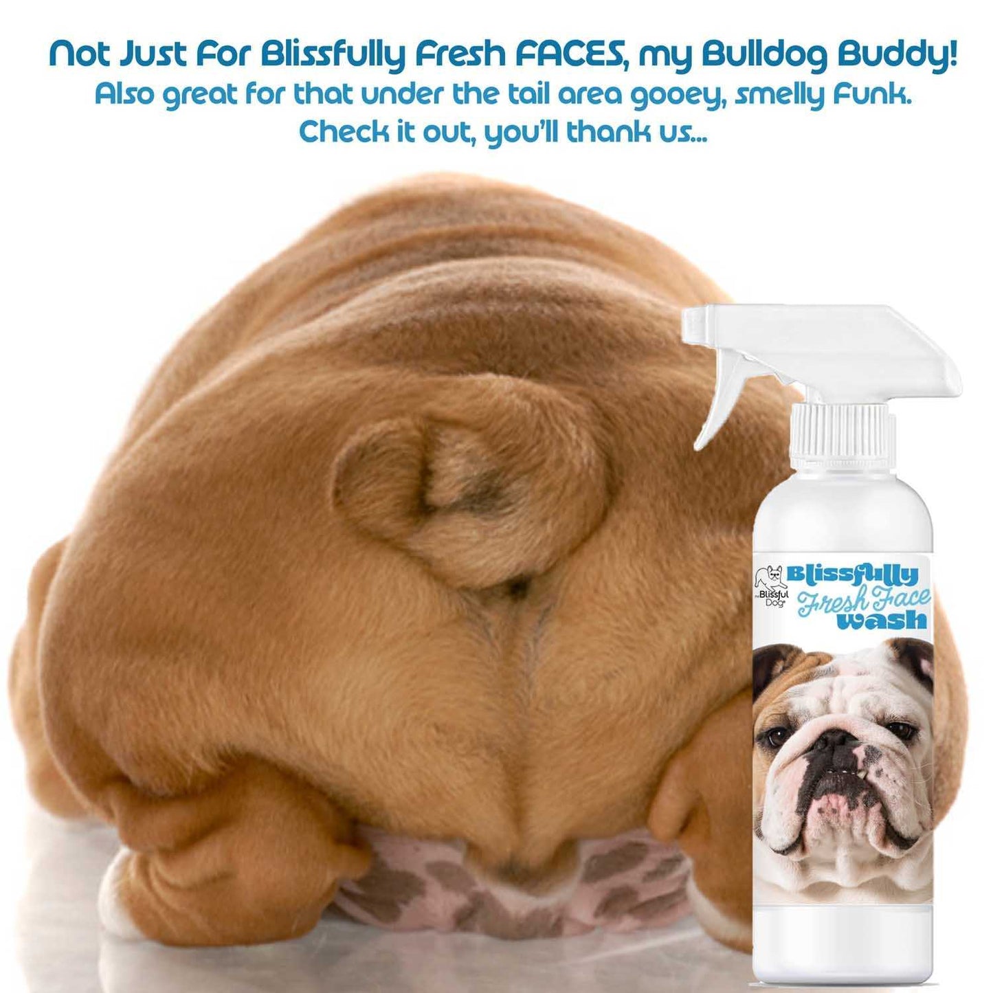 FACE WASH Bulldog Blissfully Fresh™ Face Wash sku-42752414548211 11 $ Pet Lovers Store The Blissful Dog Stew's Incense