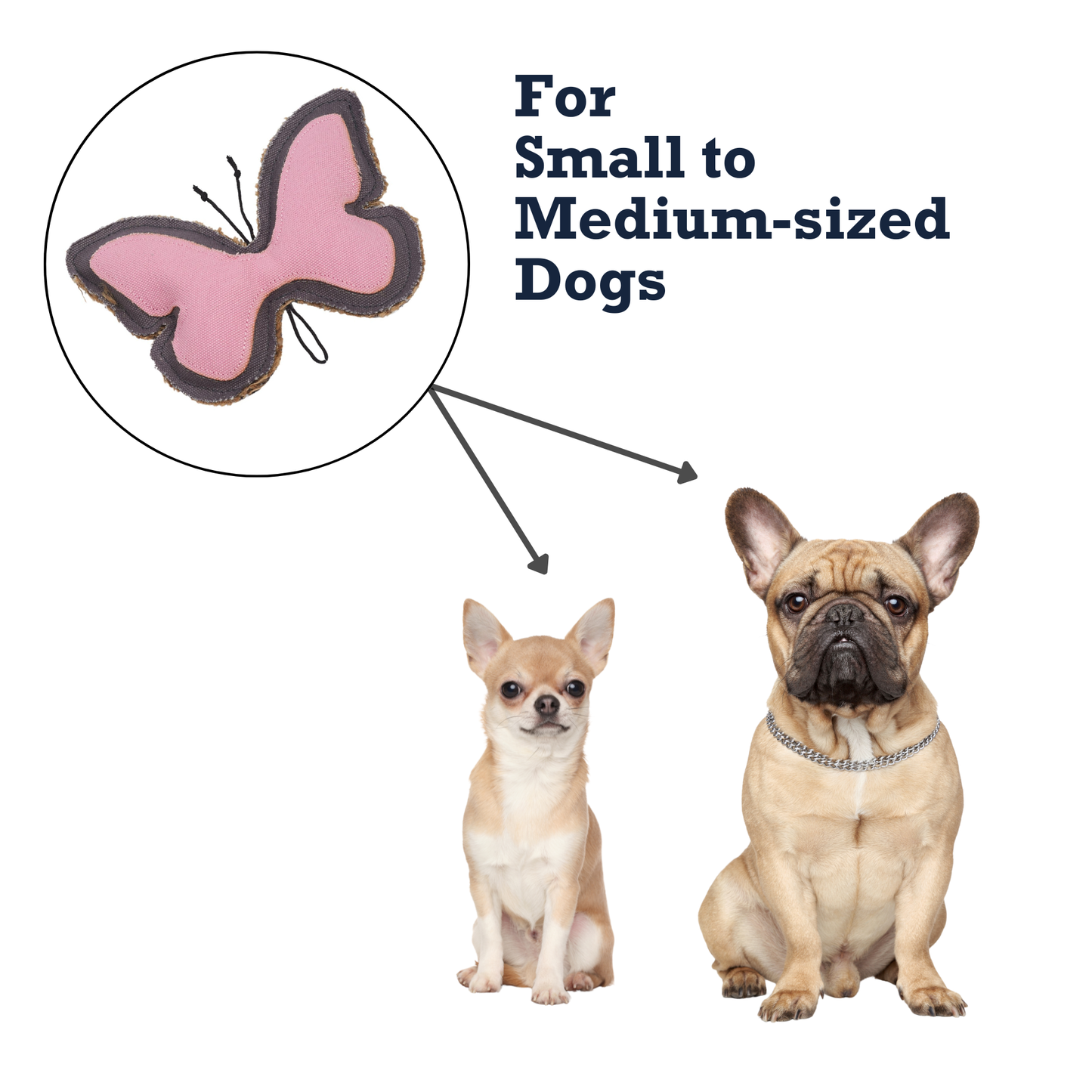 Jute Toys Country Living Canvas & Jute Butterfly-Shaped Dog Chew Toy – Durable, Safe and Non-Toxic ECO7554 14 $ Shop All American Pet Supplies Stew's Incense