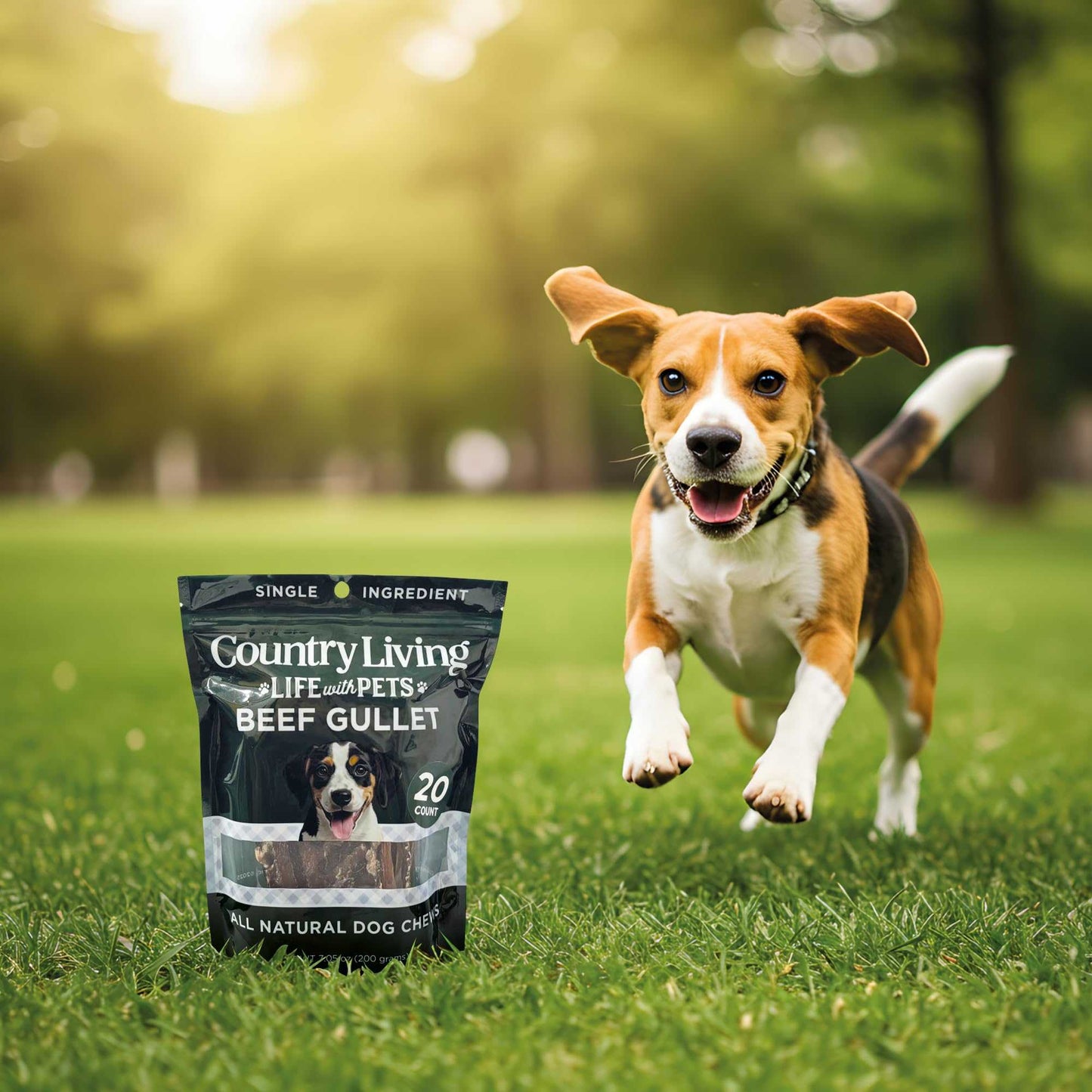 Dog Treats Country Living 6” Gullet Flats Dog Treats – 20 Count Bag – All-Natural Beef Esophagus Chews – High-Protein, Easily Digestible, Single-Ingredient Dog Treats – Grain-Free & Long-Lasting CL-PCK110-20PK 19 $ Pet Lovers Store American Pet Supplies Stew's Incense