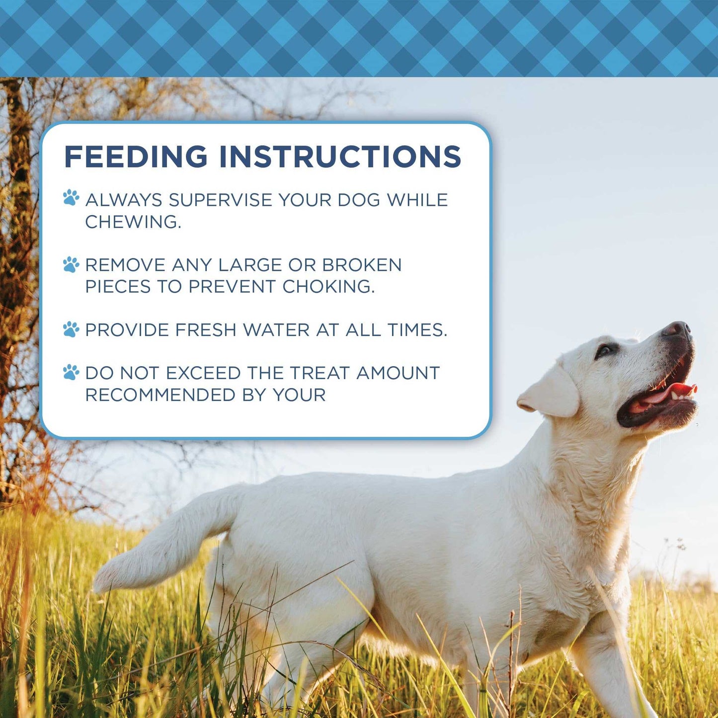 Dog Treats Country Living Natural Cow Ears Dog Chews – 10 Count Bag – All-Natural, Single-Ingredient, Long-Lasting Dog Chews – High-Protein, Low-Fat, Rawhide-Free – Supports Dental Health CL-PCK181-10PK 19 $ Pet Lovers Store American Pet Supplies Stew's Incense