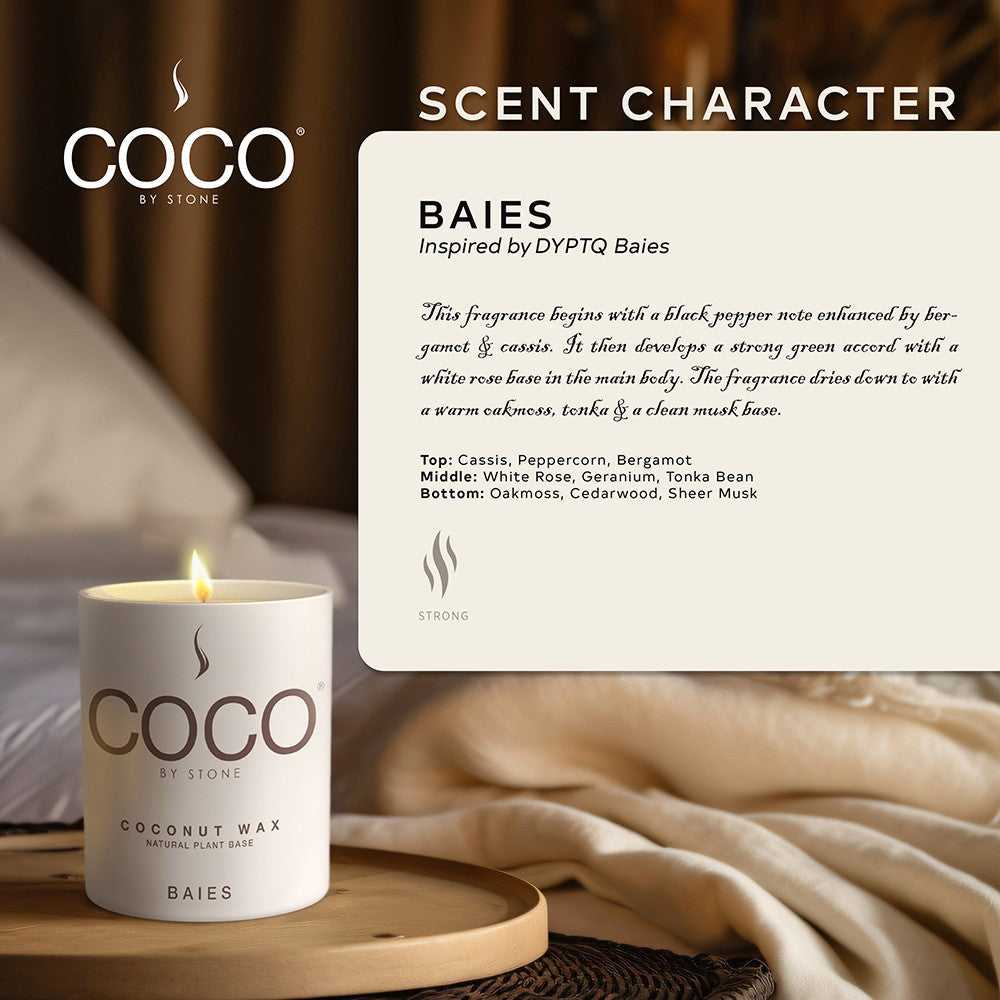COCO Candle Baies Natural Coconut Apricot Wax Candle COCO6BA 24 $ Candles Stone Candles Stew's Incense