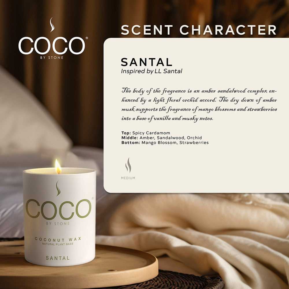 COCO Candle Santal Natural Coconut Apricot Wax Candle COCO6SA 24 $ Candles Stone Candles Stew's Incense