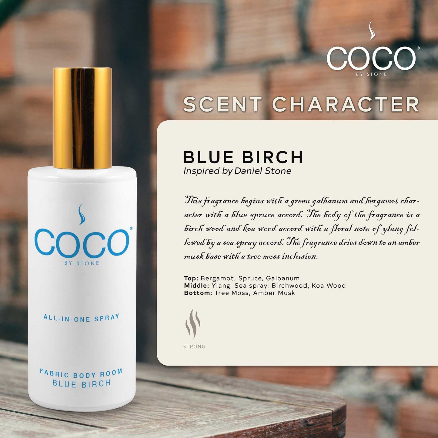 COCO All-in-One Spray 5oz Blue Birch All-In-One Spray CRS5BB 20 $ Room Sprays Stone Candles Stew's Incense