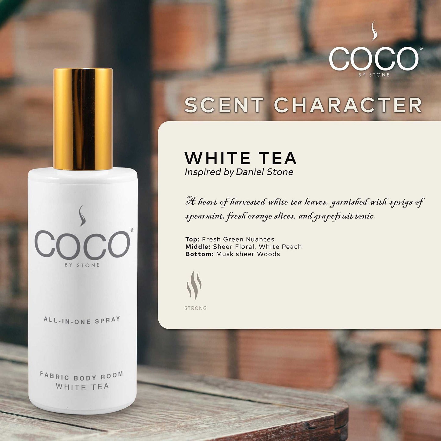COCO All-in-One Spray 5oz White Tea All-In-One Spray CRS5WT 20 $ Lava Rock Diffusers Stone Candles Stew's Incense