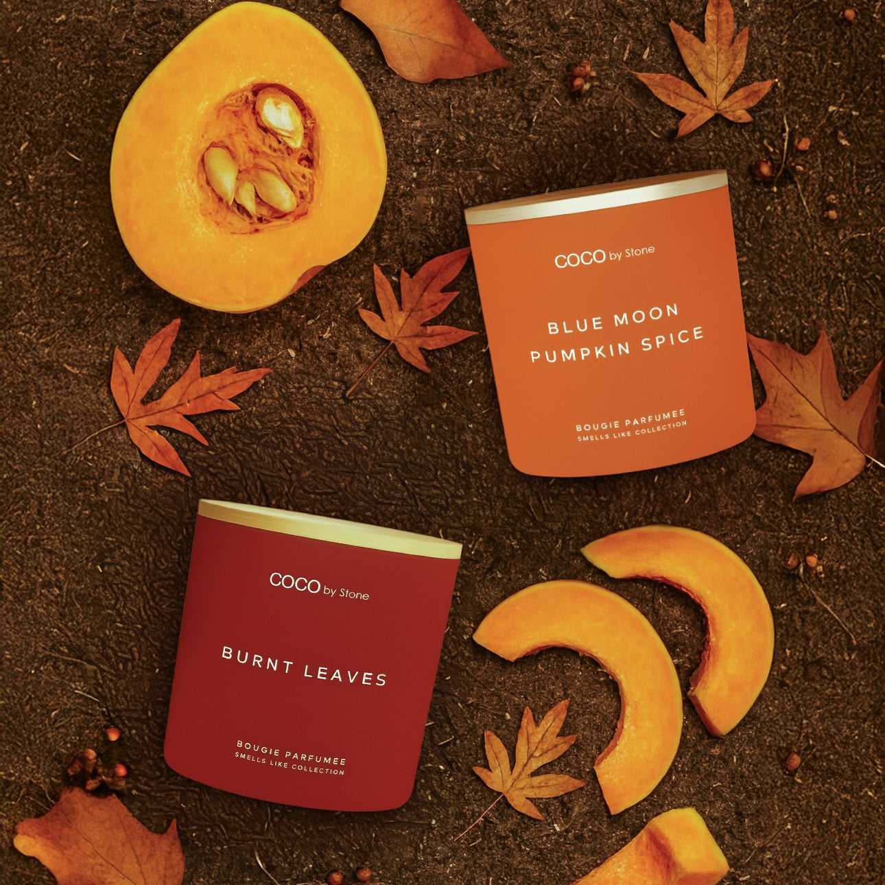 Smells Like Candle 11oz Smells Like Blue Moon Pumpkin Spice Candle GLT11-2-2023 32 $ Candles Stone Candles Stew's Incense