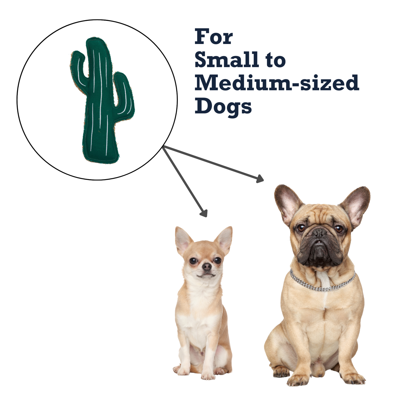 Jute Toys Country Living Canvas & Jute Cactus-Shaped Dog Chew Toy – Durable, Safe and Non-Toxic ECO7553 16 $ Shop All American Pet Supplies Stew's Incense