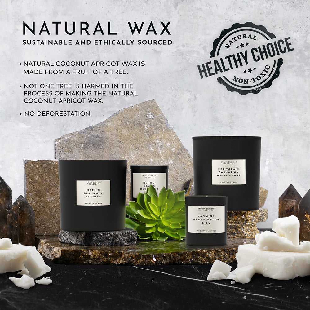 Environment - Candle (Hotel Aromatics) 55oz Santal | Tonka | Musk Candle (Inspired by Le Labo Santal® and 1 Hotel®) EN-CAN55-1HOTEL 139 $ Candles Stone Candles Stew's Incense