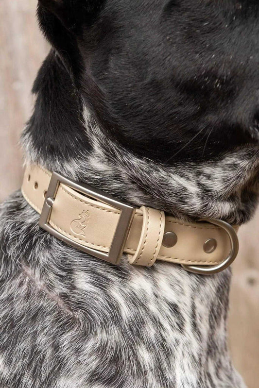 Collar Champagne Fizz Vegan Leather Dog Collar VC24CH01 29 $ Shop All Aria the Fox Stew's Incense