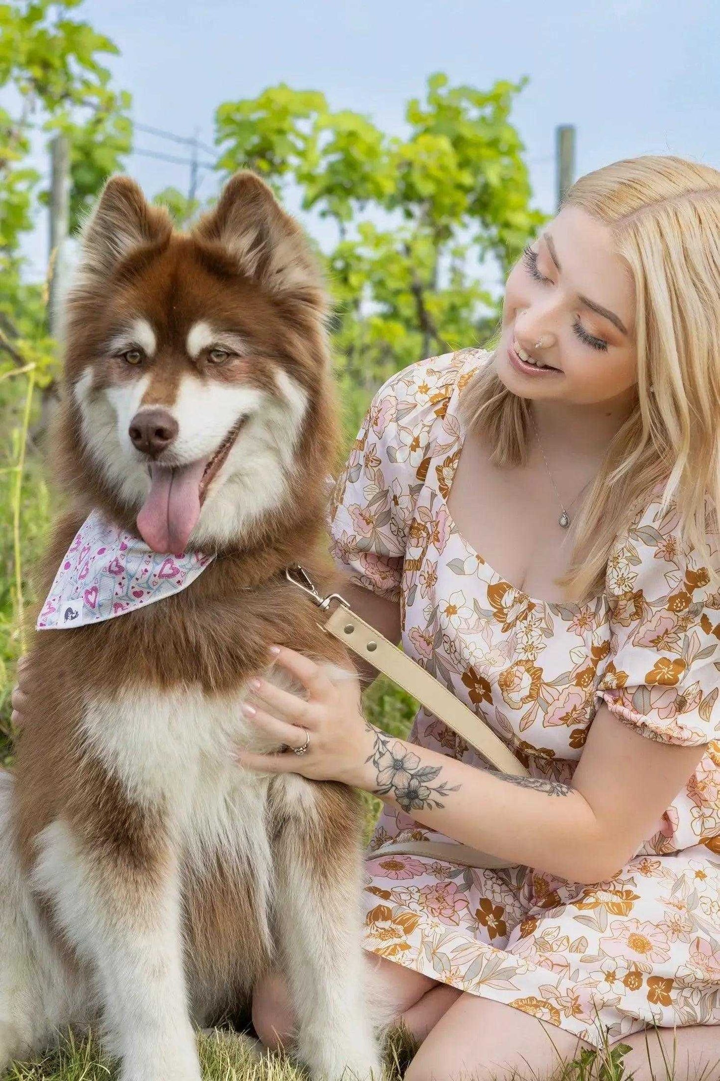 bandana Cheers to Love Dog Bandana BD24CL01 14 $ Shop All Aria the Fox Stew's Incense