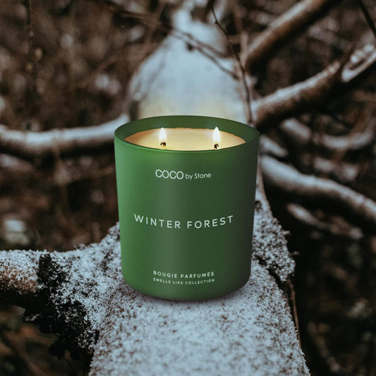 Smells Like Candle 11oz Smells Like Winter Forest Candle GLC11-2-2023 32 $ Candles Stone Candles Stew's Incense