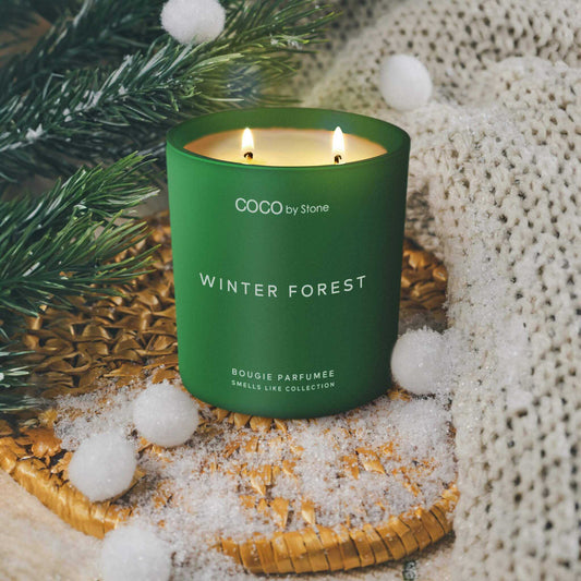 Smells Like Candle 15oz Smells Like Winter Forest Candle GLC15-2-2023 38 $ Candles Stone Candles Stew's Incense