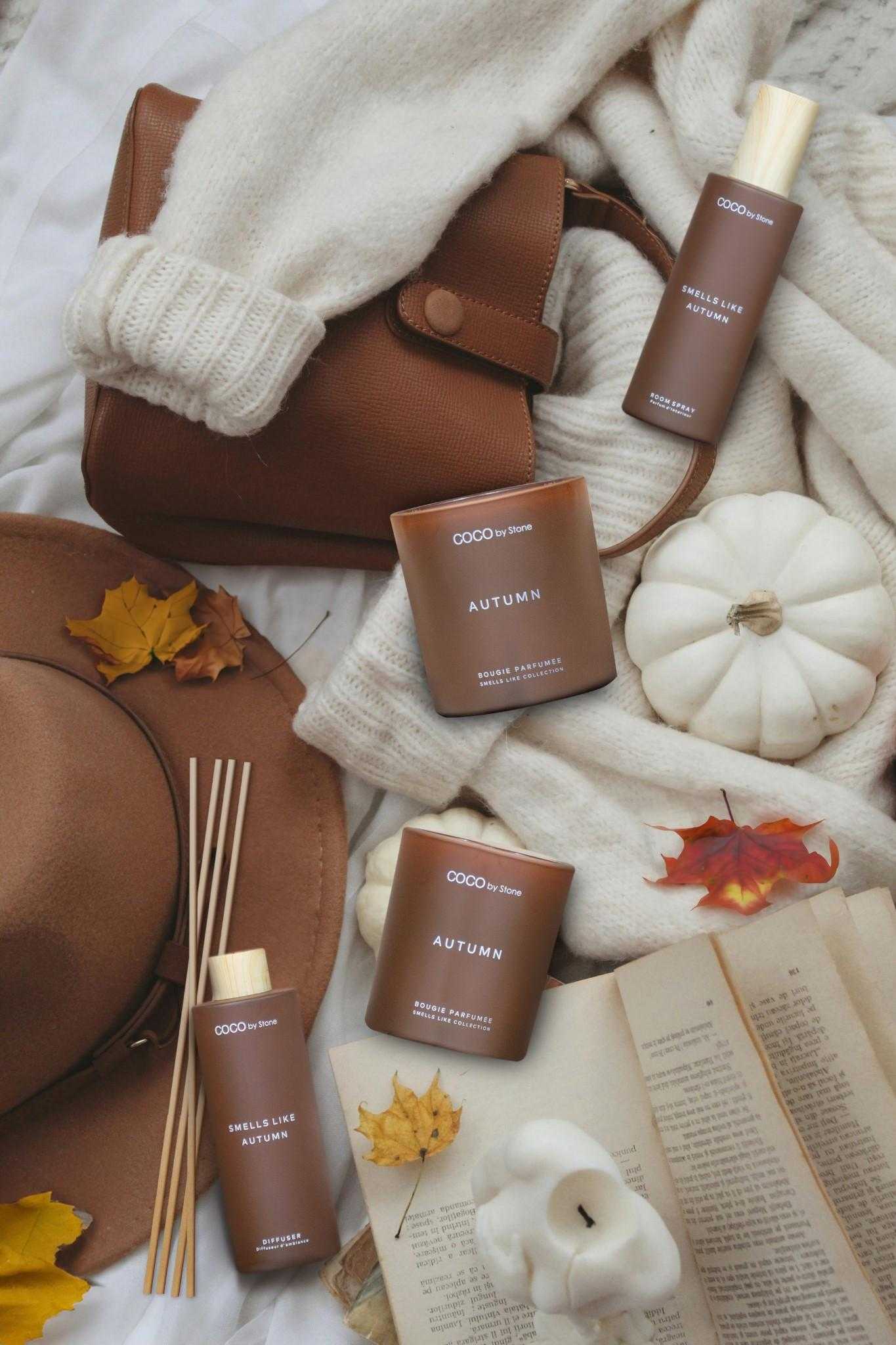 Smells Like Room spray 5oz Smells Like Autumn Room Spray CRSSL5-AUT 24 $ Lava Rock Diffusers Stone Candles Stew's Incense