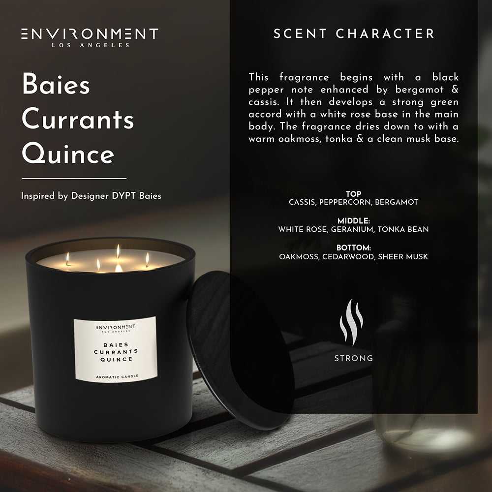 Environment - Candle 55oz Baies | Currants | Quince Candle (Inspired by Diptyque Baies®) EN-CAN55-BAISEDIP 139 $ Candles Stone Candles Stew's Incense