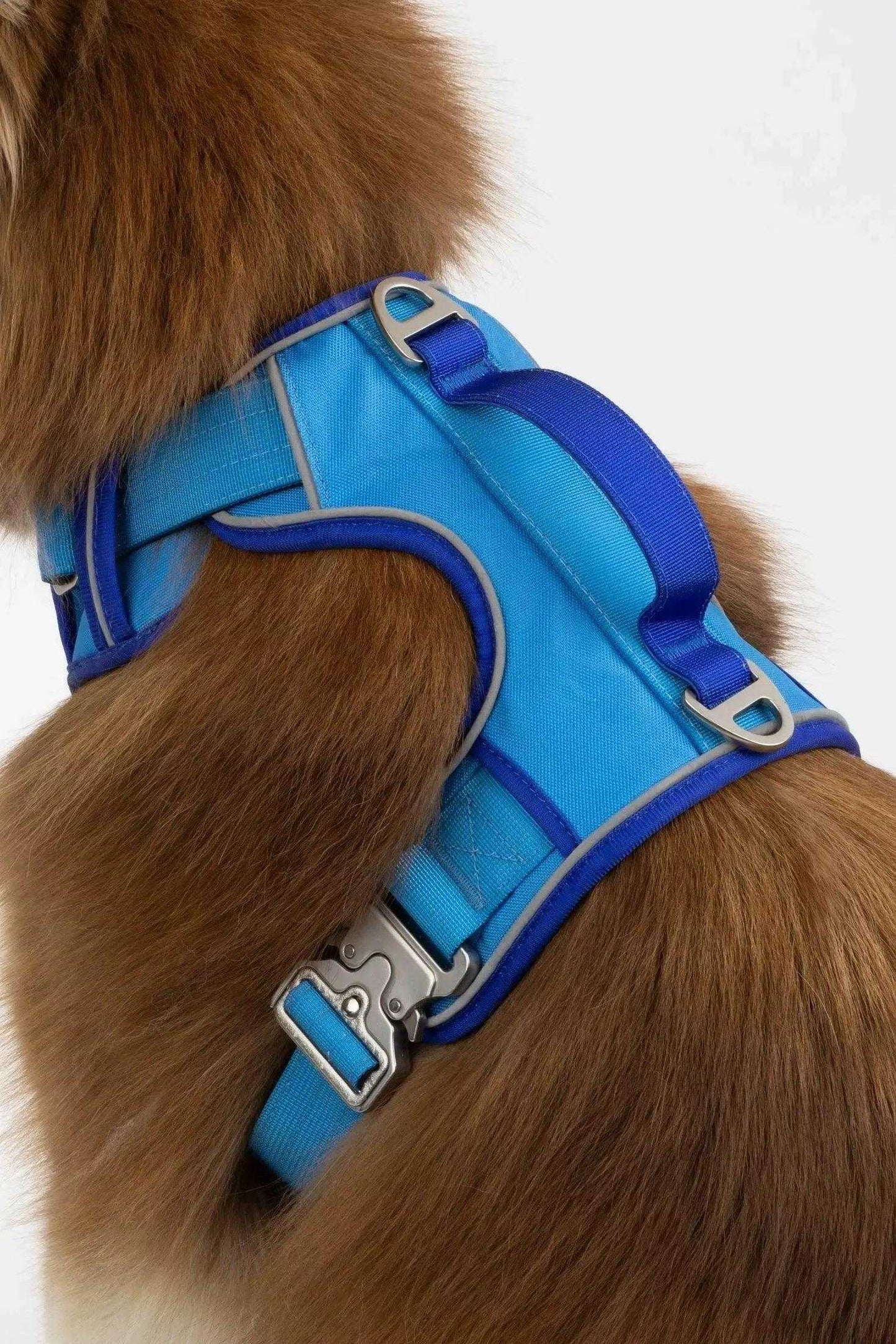 Harness Dockside Adventures Ultimate Harness HA24DA01 49 $ Shop All Aria the Fox Stew's Incense