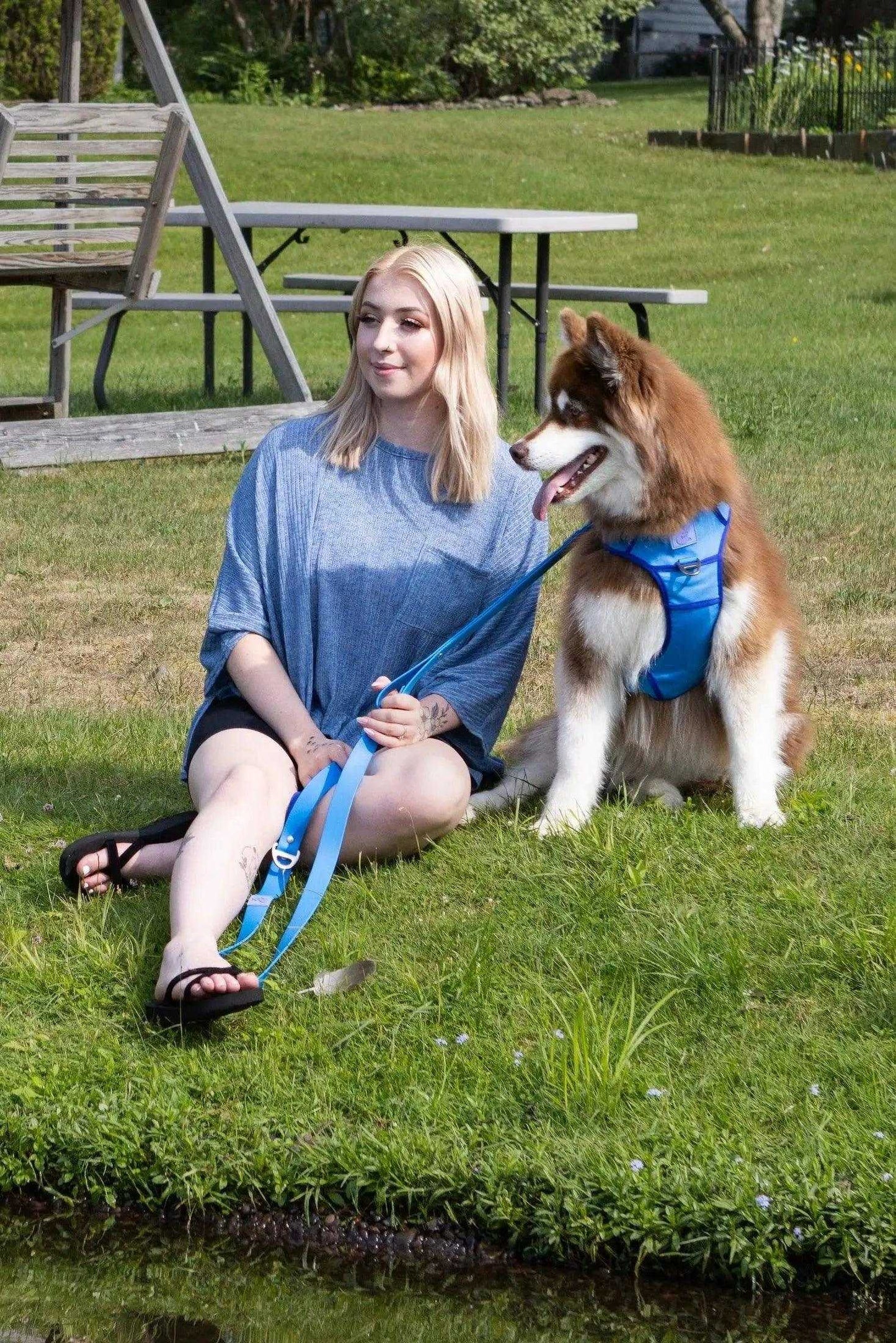 Harness Dockside Adventures Ultimate Harness HA24DA01 49 $ Shop All Aria the Fox Stew's Incense