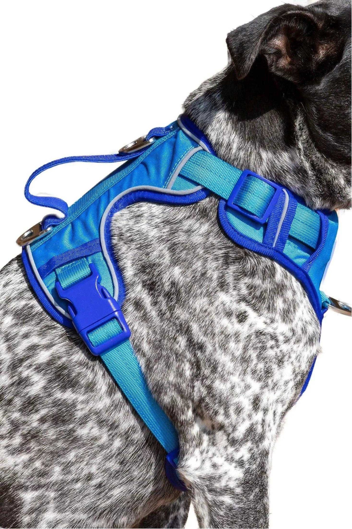 Harness Dockside Adventures Ultimate Harness HA24DA01 49 $ Shop All Aria the Fox Stew's Incense
