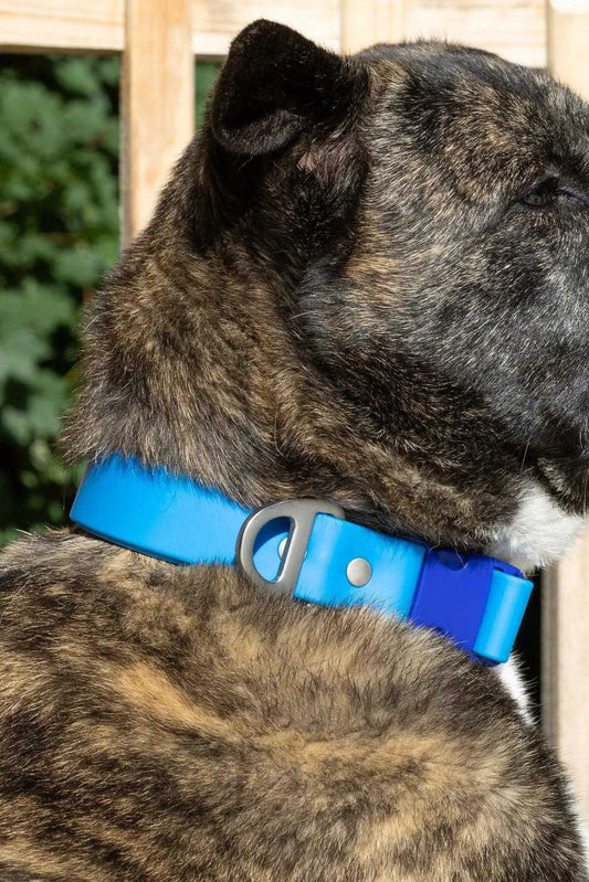 Collar Dockside Adventures Waterproof Dog Collar CO24DA01 29 $ Shop All Aria the Fox Stew's Incense