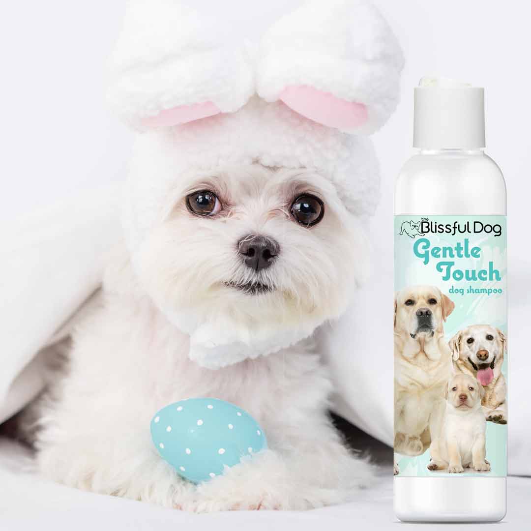 SHAMPOO Gentle Touch Dog Shampoo & Soap sku-3363213049880 11 $ Pet Lovers Store The Blissful Dog Stew's Incense