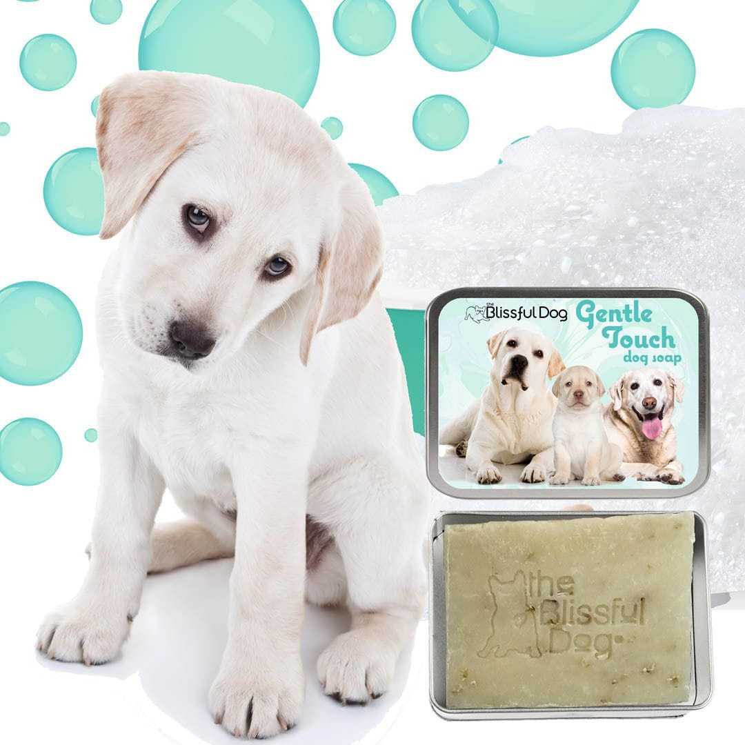 SHAMPOO Gentle Touch Dog Shampoo & Soap sku-3363213049880 11 $ Pet Lovers Store The Blissful Dog Stew's Incense