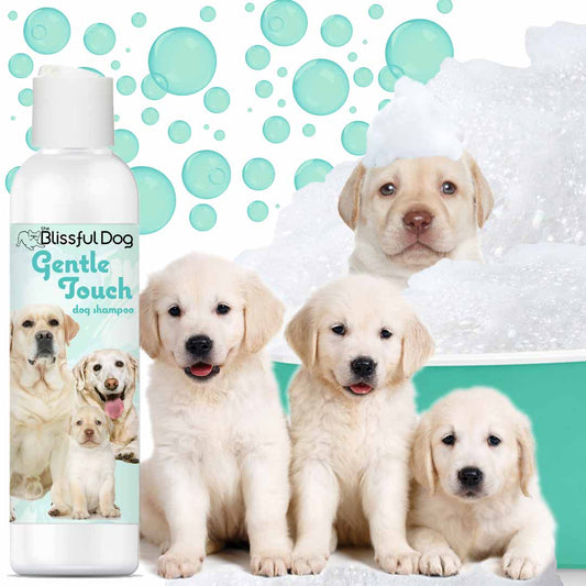 SHAMPOO Gentle Touch Dog Shampoo & Soap sku-3363213049880 11 $ Pet Lovers Store The Blissful Dog Stew's Incense