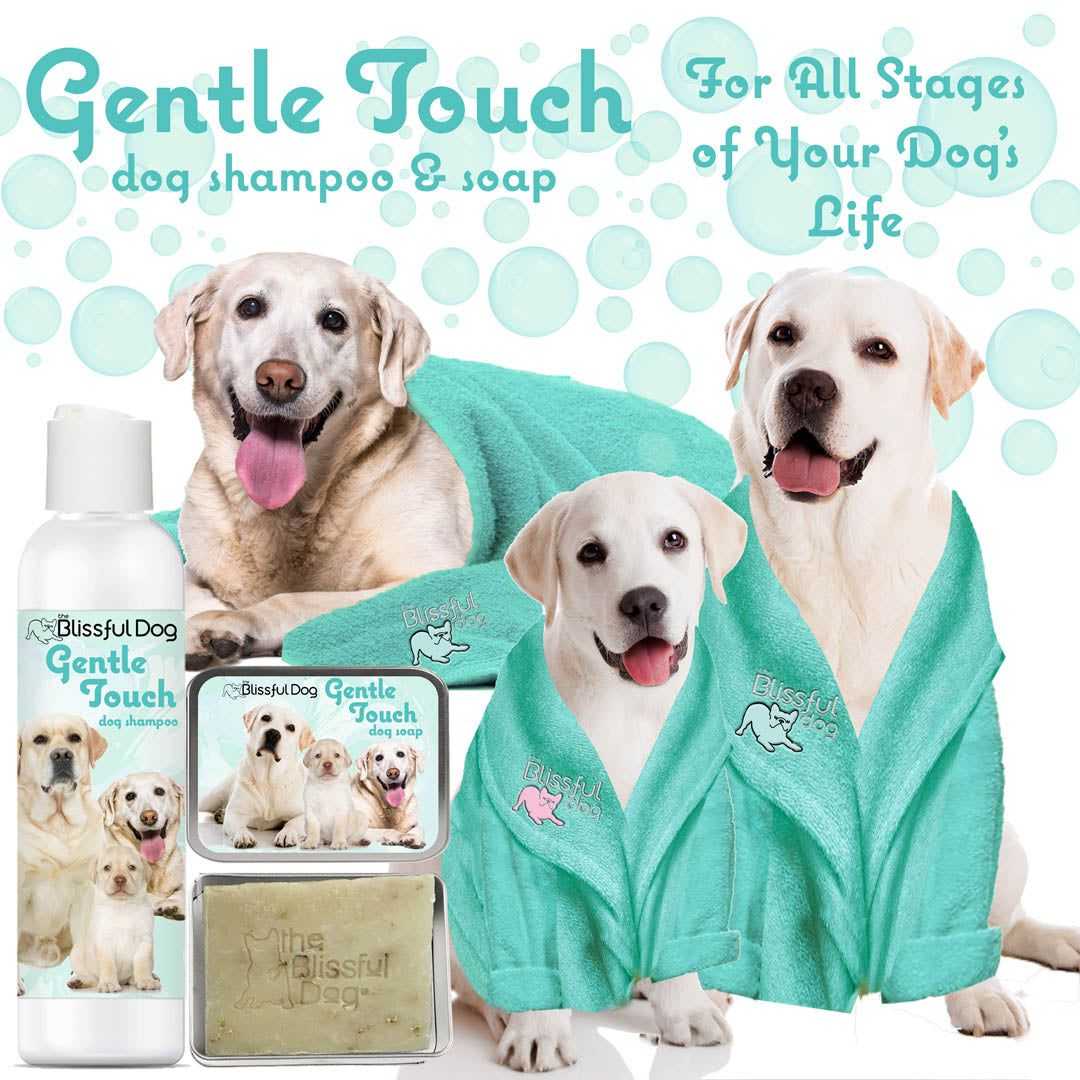 SHAMPOO Gentle Touch Dog Shampoo & Soap sku-3363213049880 11 $ Pet Lovers Store The Blissful Dog Stew's Incense