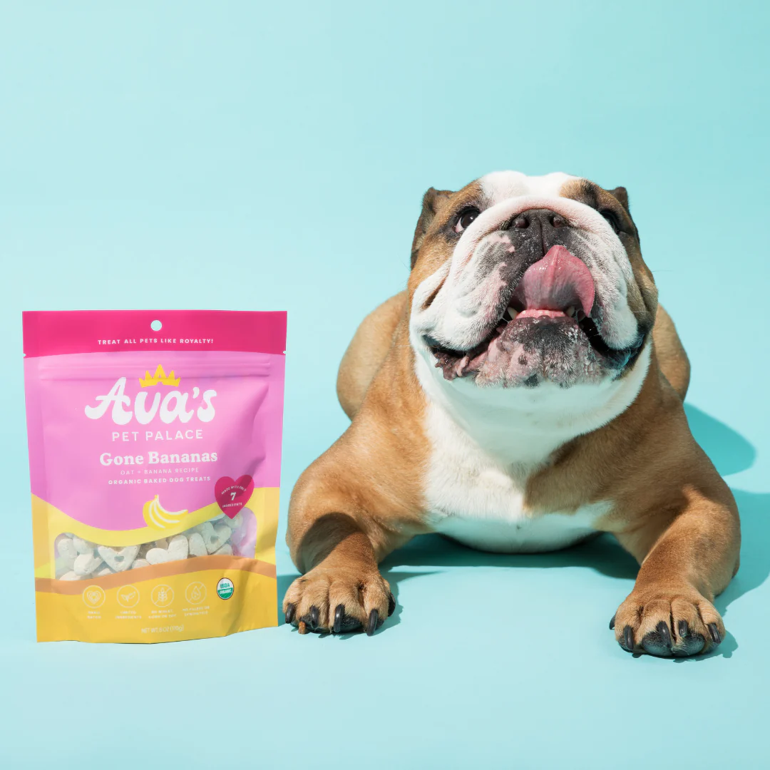 Dog Treats Ava's Pet Palace Organic Oven Baked Dog Treats - Gone Bananas (6 oz) / 2-Pack PCK9700 18 $ Pet Lovers Store American Pet Supplies Stew's Incense