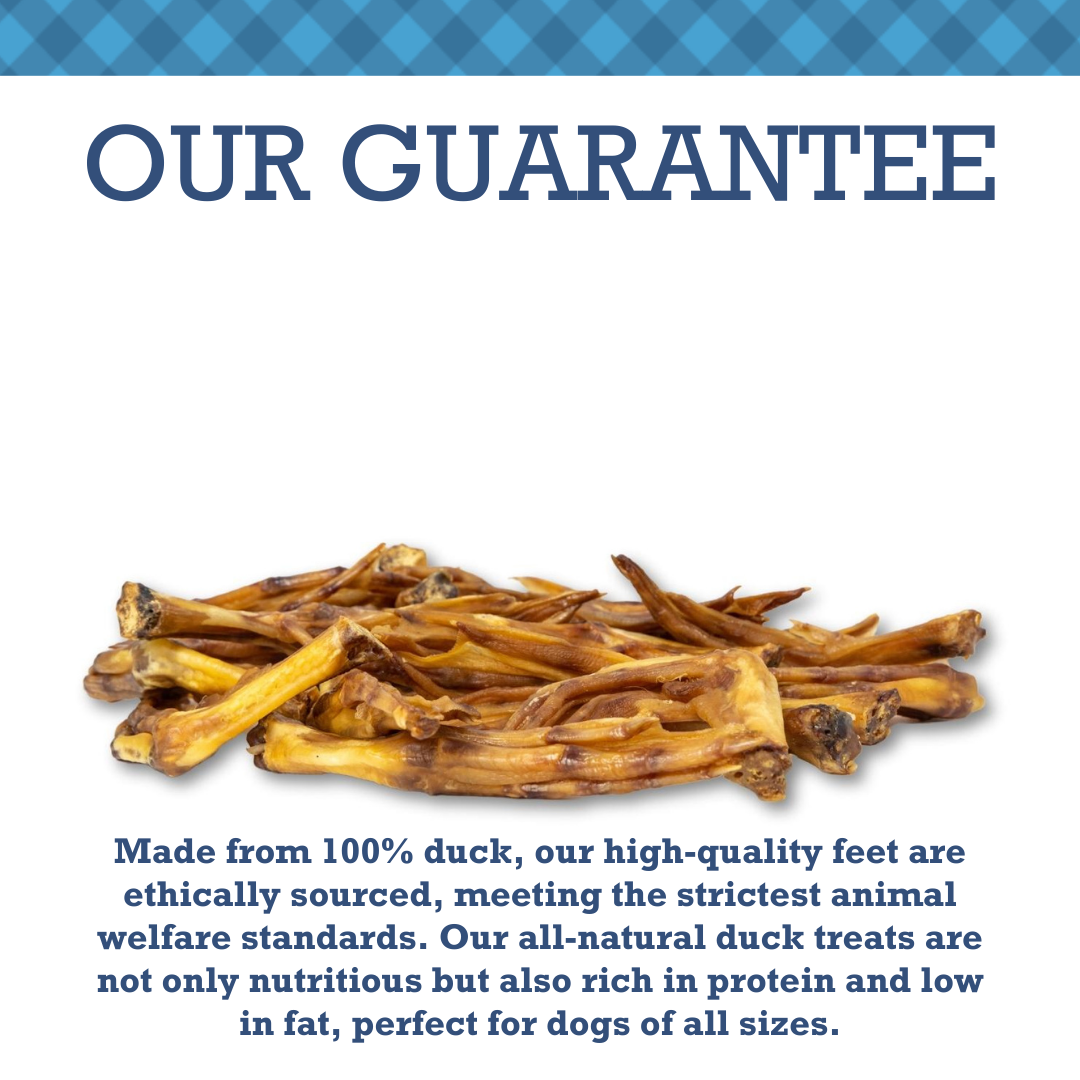 Natural Treats Country Living All-Natural Duck Feet Dog Treats – Crunchy, Long-Lasting Chews – (20-Pack) PCK101-20P 19 $ Pet Lovers Store American Pet Supplies Stew's Incense