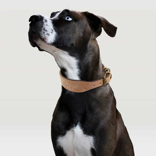 Large collar The Wide Luxe Collar - Padded Leather for Large Dogs 4000711904638-black-XL 37 $ Pet Lovers Shop All Products Fashioned Furbabies Stew's Incense