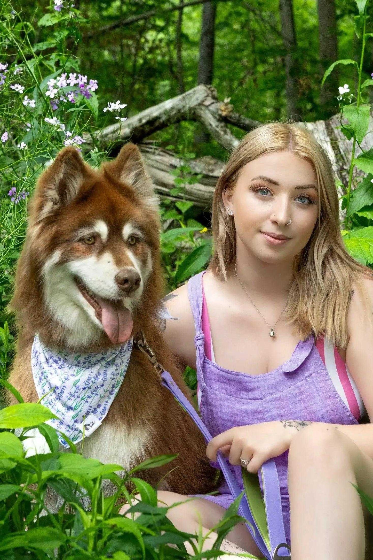 bandana Lavender Blooms Dog Bandana BD24LB01 14 $ Shop All Aria the Fox Stew's Incense