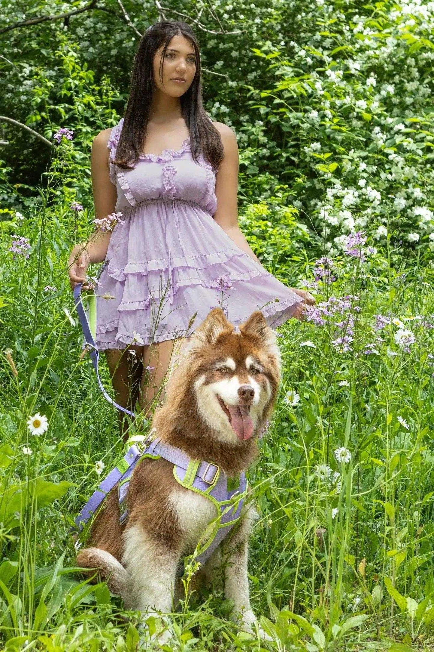 Harness Lavender Garden Ultimate Dog Harness HA24LG01 49 $ Shop All Aria the Fox Stew's Incense
