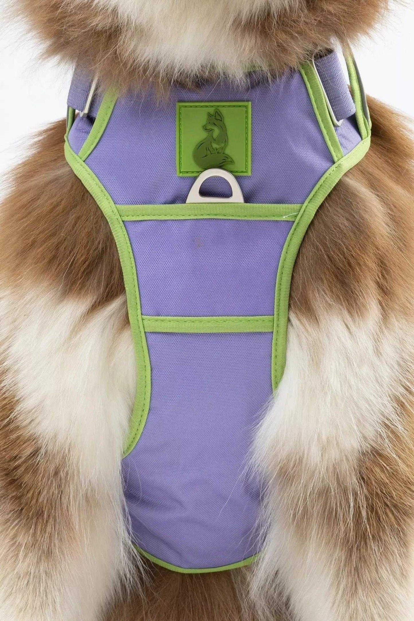 Harness Lavender Garden Ultimate Dog Harness HA24LG01 49 $ Shop All Aria the Fox Stew's Incense