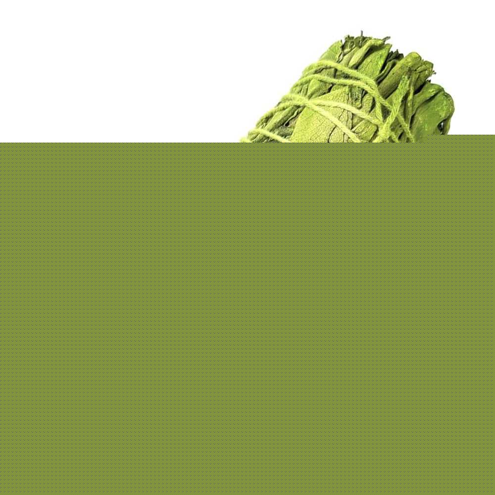 smudge sticks Money - Reversible Sage Smudge Stick 3-4" N54-GREEN 4 $ The Witches Sage LLC Stew's Incense