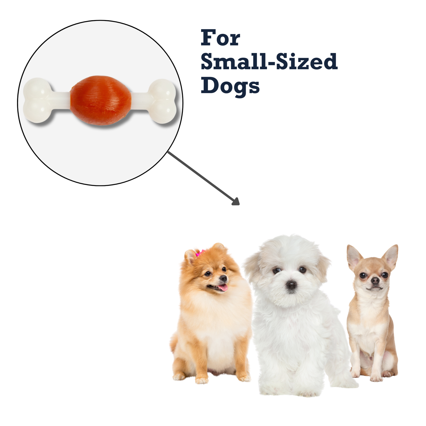 TPR/Nylon Combos Country Living TPR & Nylon Bone Dog Chew Toy - Beef-Flavored, Ideal for Small Dogs NYL401 12 $ Pet Lovers Store American Pet Supplies Stew's Incense